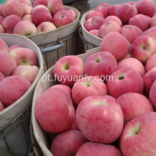 Deliciosa fruta fresca vermelha estrela apple